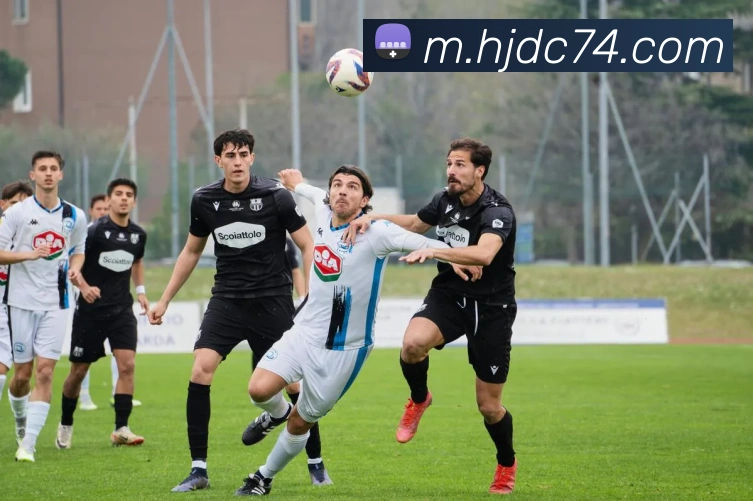 数据防护可视化